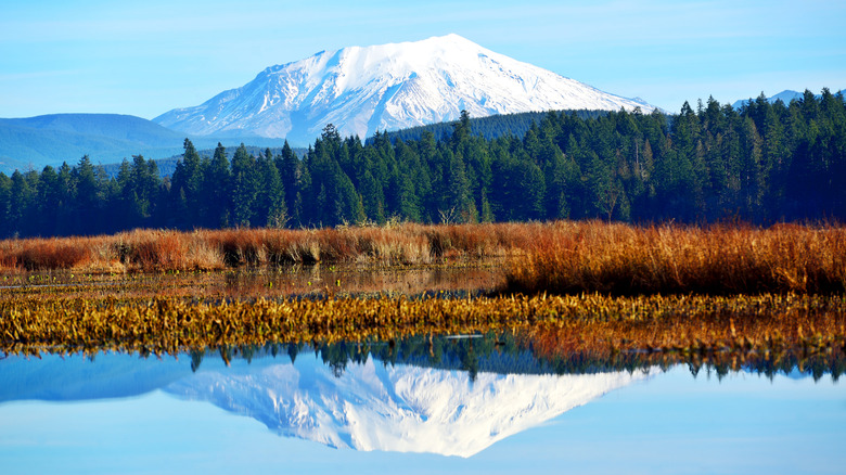 Mt St Helens reflecting in Silver Lake near Washington's Seaquest State Park