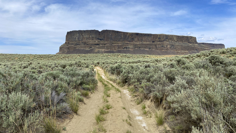 A dusty trail leading to Steamboat Rock