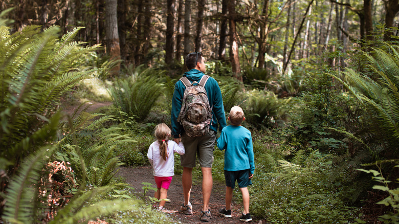 A father hikes in the forest with his two children in Washington state