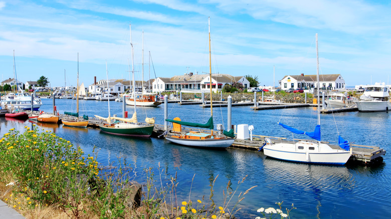Boats and houses in Port Townsend, Washington