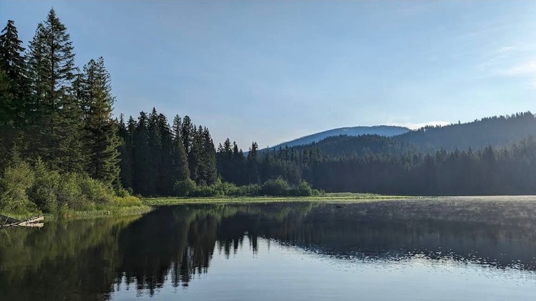 Aerial view of South Skookum Lake Campground
