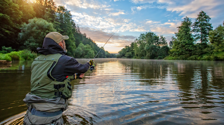 Back view of a person fishing in water, surrounded by trees
