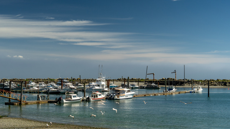 the harbor at Sekiu, Washington state