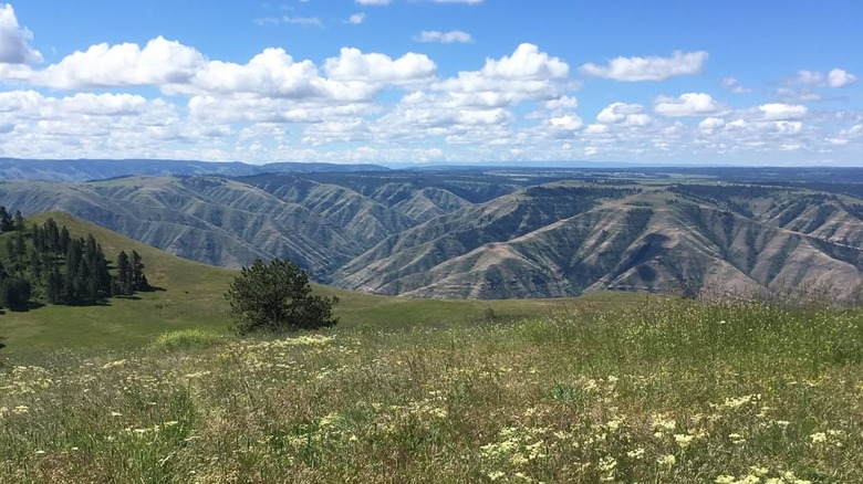 View of undulating hills from Fields Spring State Park