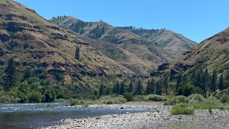 River bank on Boggan's Oasis on the Grande Ronde River