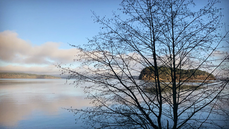 View of American Lake in Lakewood