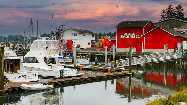 Sunset at the boat basin in Ilwaco harbor