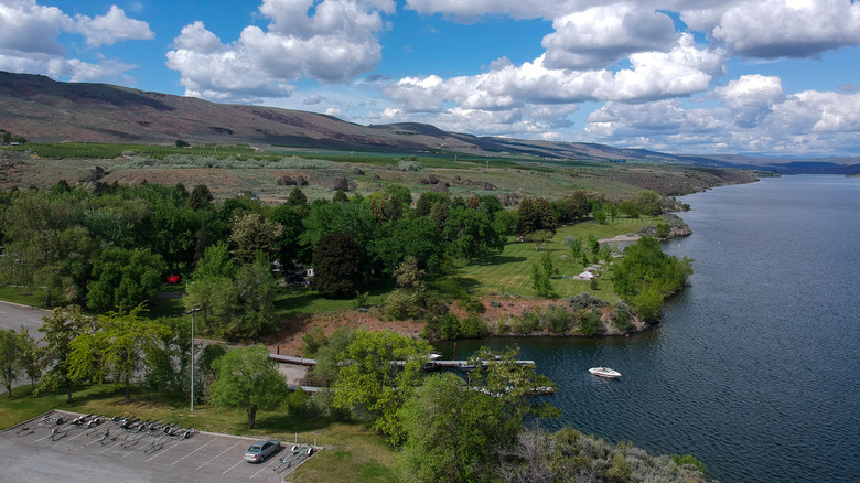 A view of Bridgeport State Park with a desert mountain, grass, and trees on the left and the Columbia River on the right.