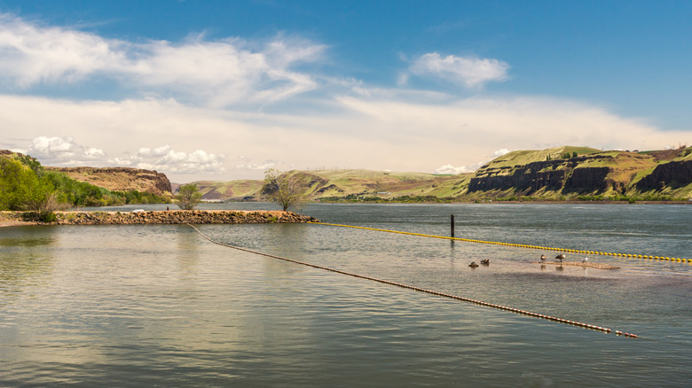 Swimming area in Maryhill State Park in Goldendale, Washington