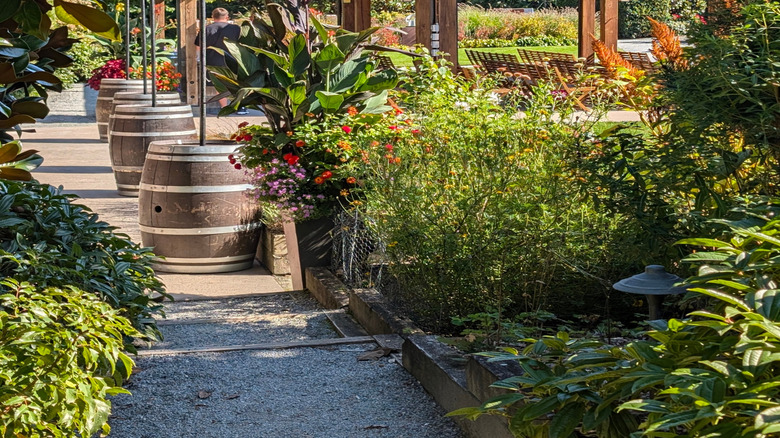 the outdoor patio at the Willows Lodge