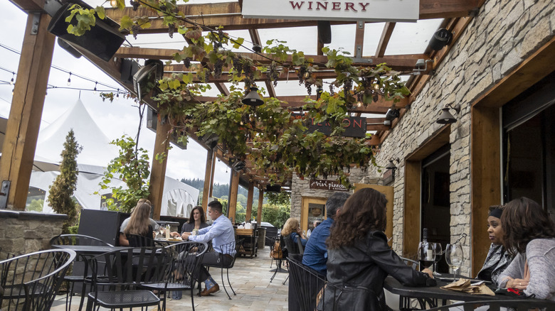 people sitting outdoors in a winery with vines overhead