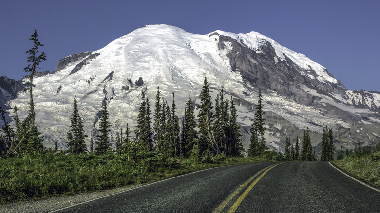 Sunrise Road at Sunrise Visitor Center, Mount Rainier National Park