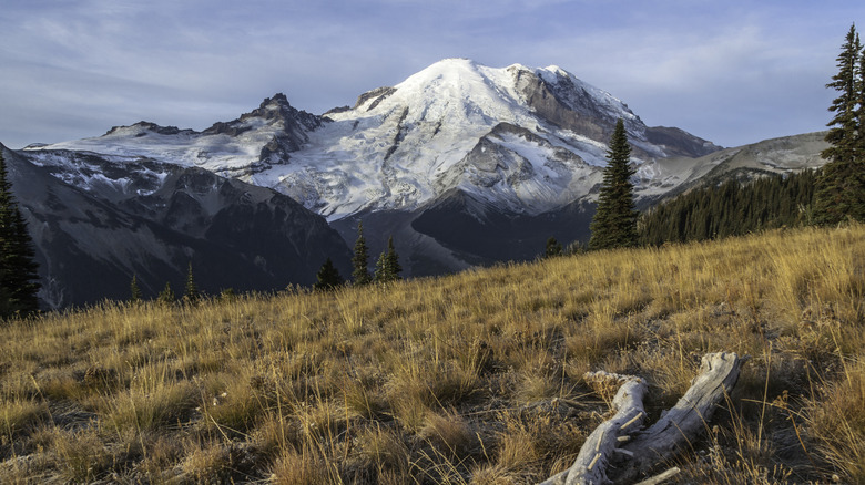 Mount Rainier National Park located in Washington State, taken in the Sunrise area of the park