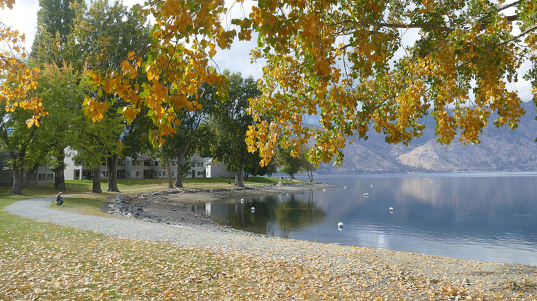 Shoreline on Lake Chelan in Manson Washington during the day with mountains and houses in the background.