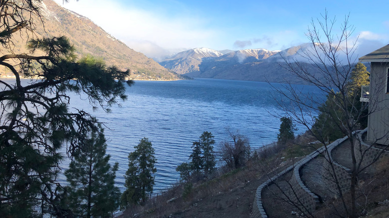 Lookout over Lake Chelan in Manson, Washington with trees in the foreground, and mountains in the background