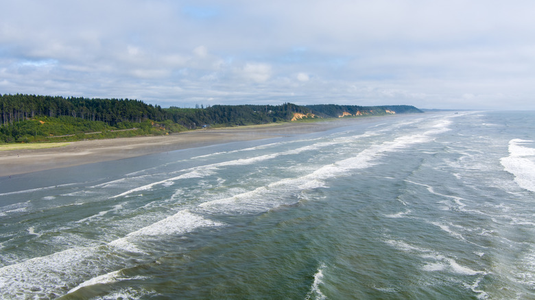 White-capped waves roll into the sandy, tree-lined shore of Seabrook, Washington