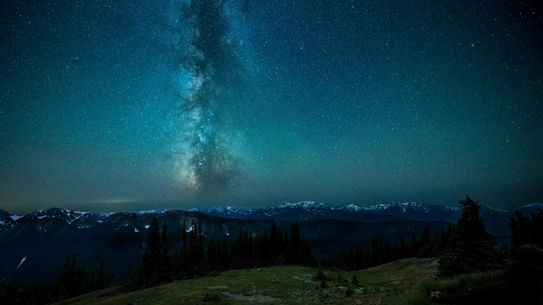 Starry sky with milky way in Washington state