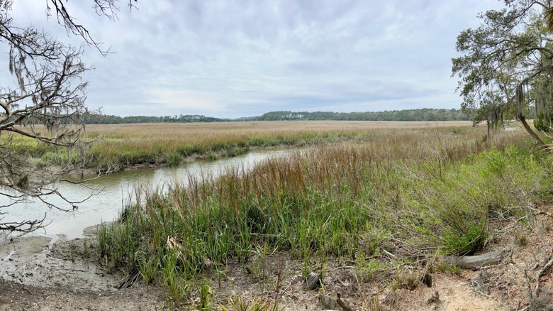 Wassaw National Wildlife Refuge off the coast of Georgia
