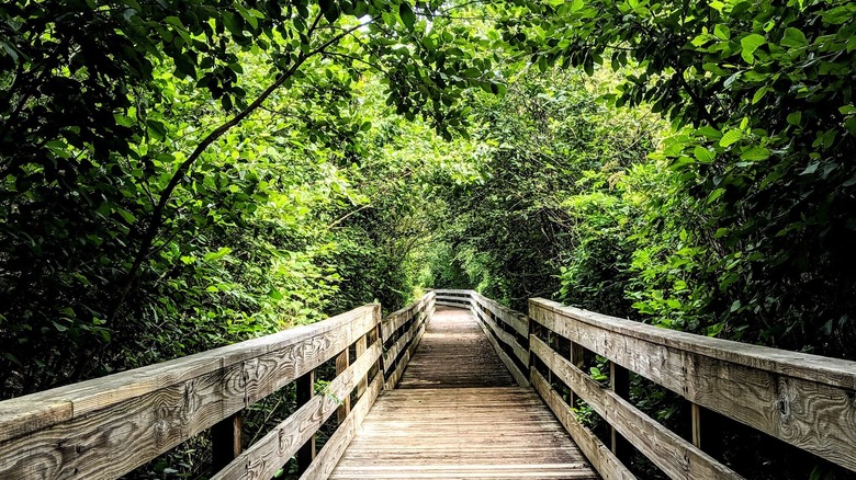 Harris Shoals Park in Watkinsville, Georgia