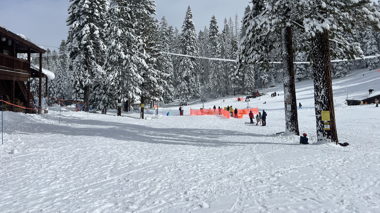 The sledding hill at Granlibakken Tahoe