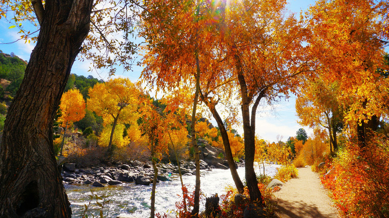 Browns Canyon National Monument and Buena Vista Whitewater Park near Buena Vista and Salida, Colorado