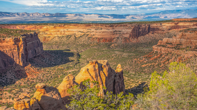 An aerial view of canyons at Colorado National Monument near Grand Junction