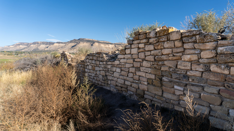 Yucca House National Monument, a large, unexcavated Ancestral Puebloan archaeological site in Montezuma Valley, Colorado
