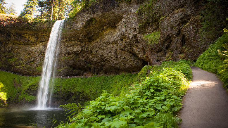 A trail goes behind a waterfall in Oregon