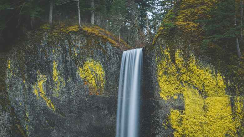 The start of the Latourell Falls dissappearing below