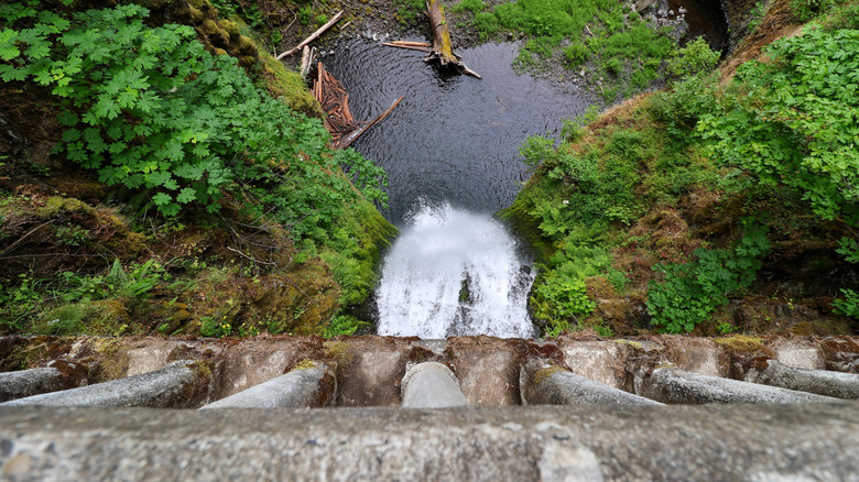 Looking down at the Multnomah Falls from the trail