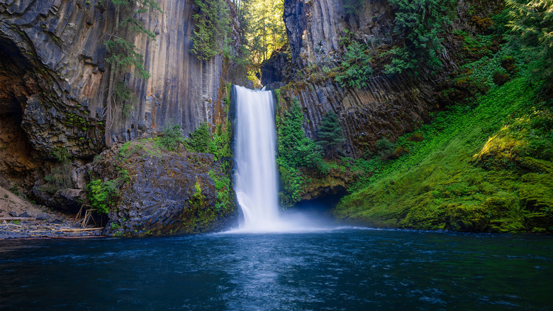 The Toketee Falls drop over basalt rock in a forest in Oregon