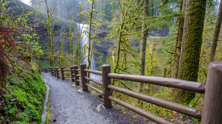 A section of the Trail of Ten Falls in Silver Falls State Park