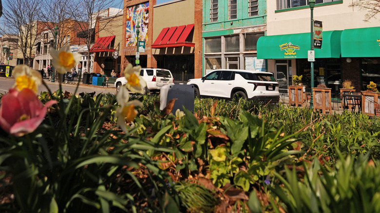 Hendersonville, NC - USA - 03-21-2025: Local retail shops in downtown Hendersonville North Carolina