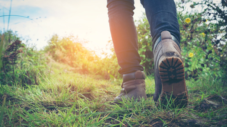 a close up on a hiker's hiking boots while walking on a grassy trail