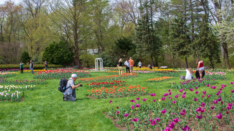 Visitors exploring the flower gardens in Elizabeth Conservancy Park, West Hartford, Connecticut