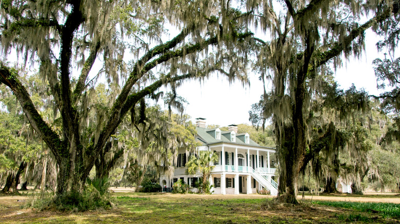 The Grove Plantation House, surrounded by trees covered in Spanish moss in Hollywood, South Carolina