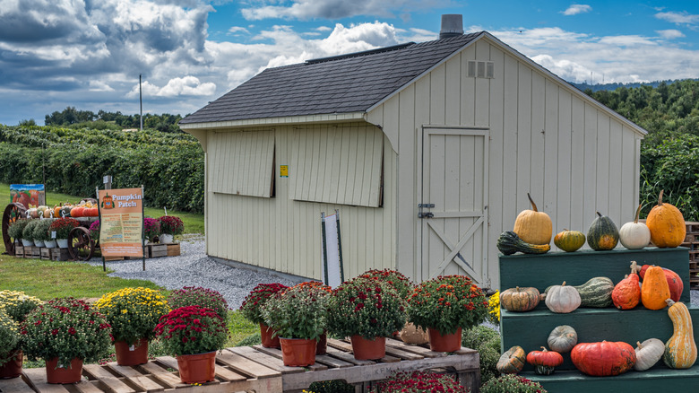 Roadside farm in Martinsburg decorated for fall