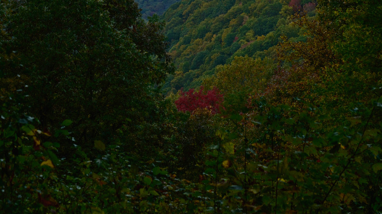 Sunset in Babcock State Park in West Virginia