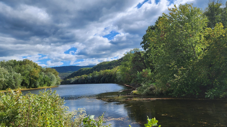 Potomac River in Green Ridge State Forest, lined in trees with a mountain in the background, under a cloudy blue sky