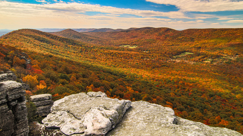 George Washington National Forest in autumn under a blue sky with a rock outcropping in the foreground
