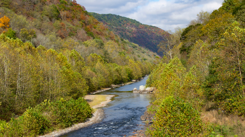 River flowing through The Trough Canyon in West Virginia