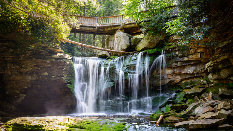 Elakala Falls in Blackwater Falls State Park