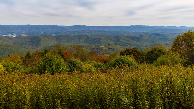 View of a valley from Bald Knob, West Virginia