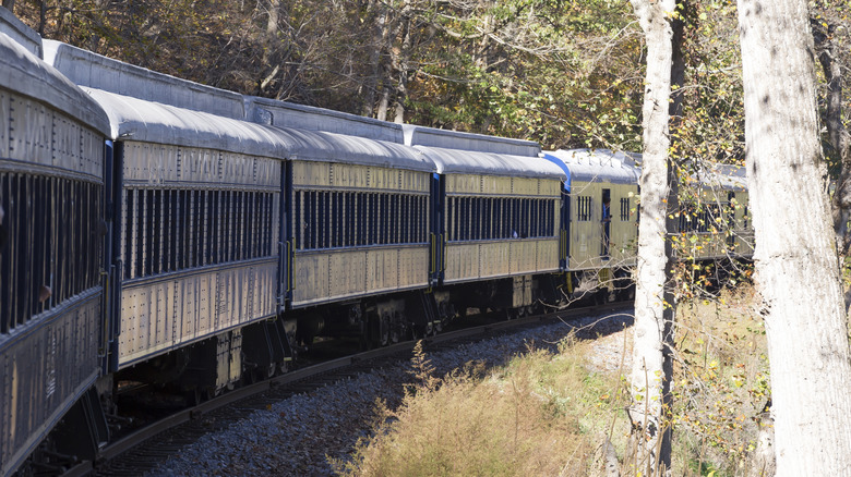 Potomac Eagle coaches on a curve near Romney in West Virginia
