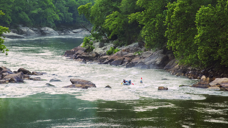 Whitewater rafting on the New River Gorge