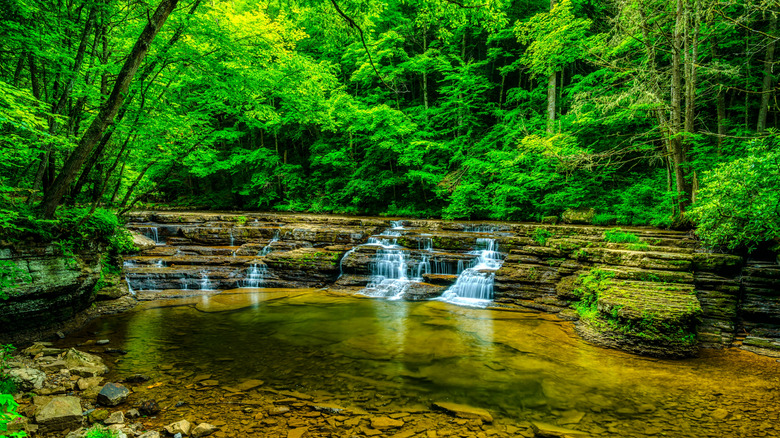 Campbell Falls in Camp Creek State Park