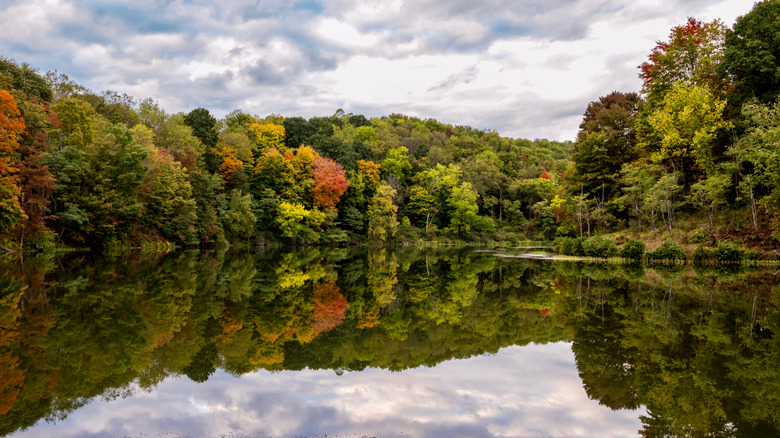 Fall foliage and river in Tomlinson Run State Park