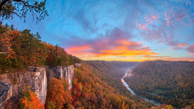 New River Gorge, West Virginia, USA autumn morning landscape at the Endless Wall.