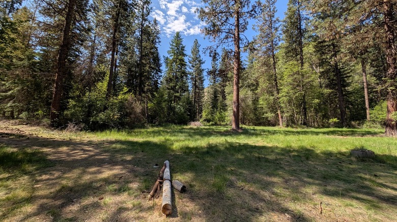 A flat, open area at Fish Creek State Park in Montana
