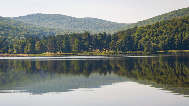 Quaker Lake Area in Allegany State Park